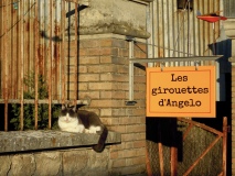 Les girouettes d Angelo