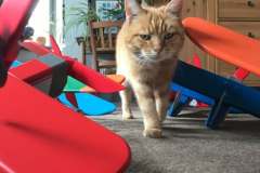 480631312_1387516822590829_7384160244867066760_n