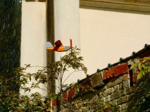 Les girouettes d Angelo Marne