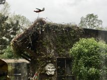 Les girouettes d Angelo Aisne