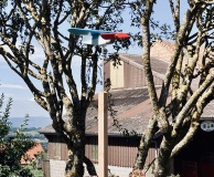 Les girouettes d Angelo Suisse