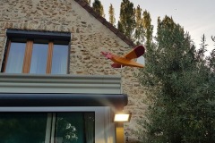 Les girouettes d Angelo Seine et Marne
