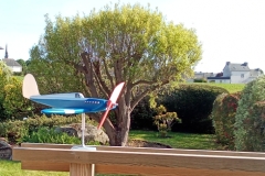 IMG_20250615_190703_470