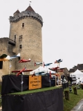 Journées des plantes et art du jardin au château de Blandy-les-Tours - BLANDY-LES-TOURS (77)13385_2895052447621440711_n