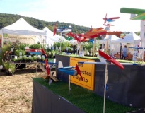 Festi\'vallée d\'IGNY (91)