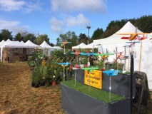 Festi'vallée d'IGNY (91)