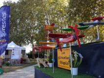 Jardins en Seine 2018 édition d\'automne sur les terrasses du Fecheray - SURESNES (92)