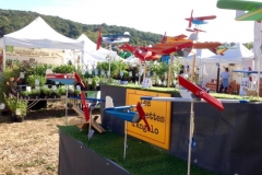 Festi\'vallée d\'IGNY (91)