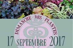 Dimanche des plantes - SEINE-PORT (77)